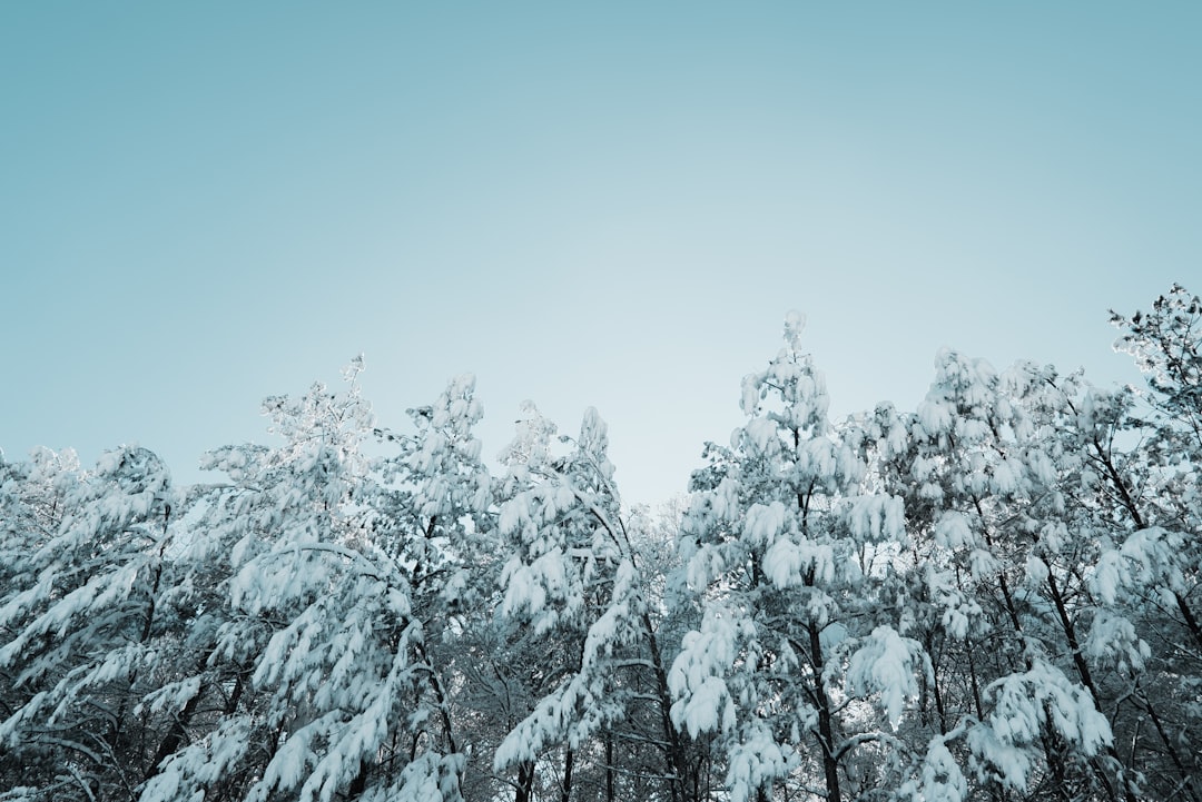 Photo Winteraccessoires