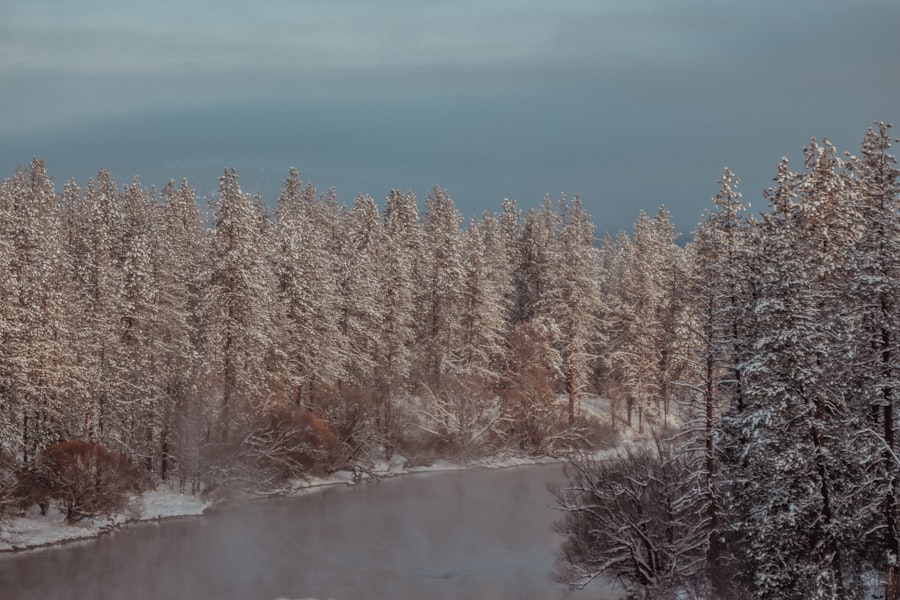 Photo wintervakantie