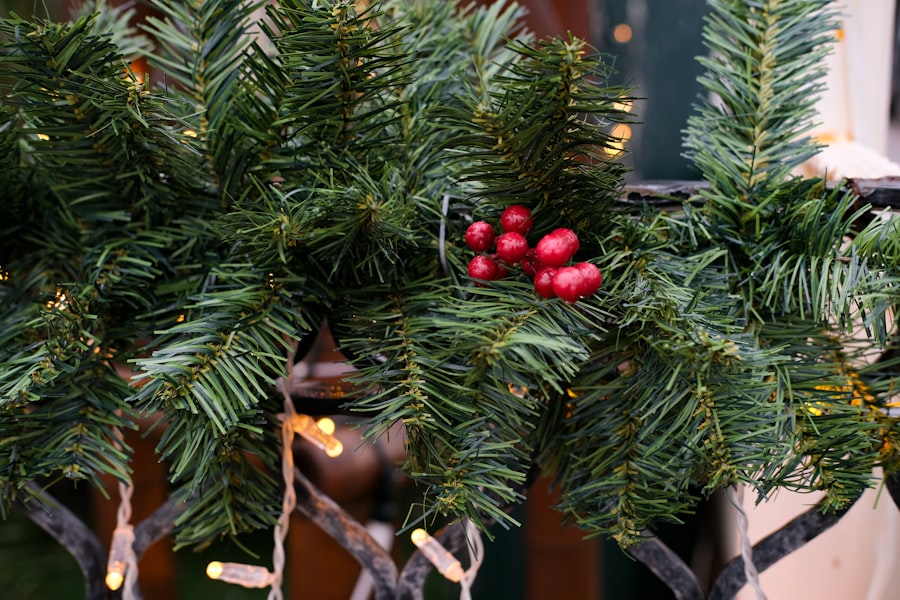 Photo winter decoration