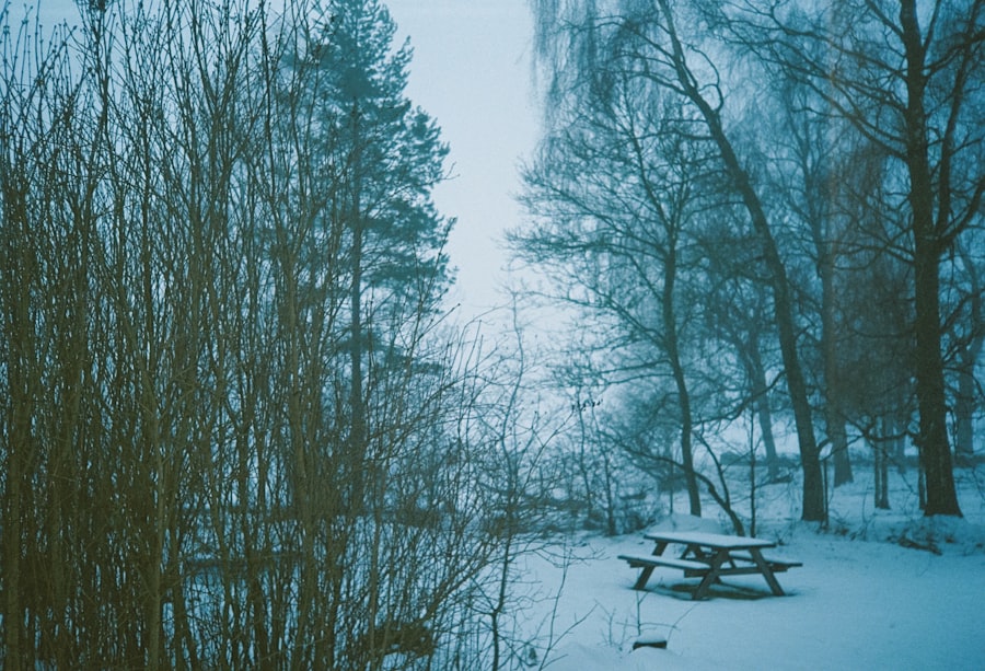 Photo winter photography