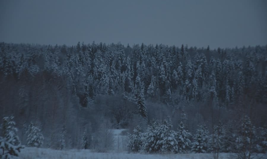 winterse geurkaarsen