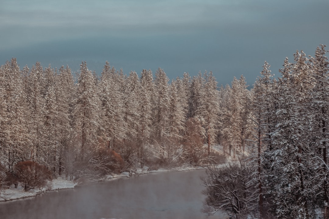 Photo winterse geurkaarsen