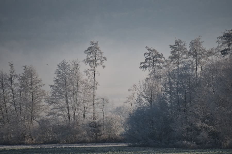 Photo winterse geurkaarsen